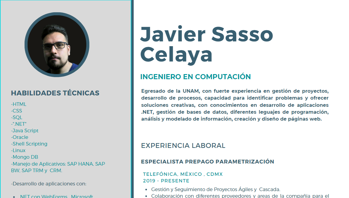 Ing_Javier_Sasso_Celaya_Currículum